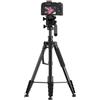 Asixxsix Treppiede per Fotocamera, Altezza Regolabile da 59-195 Cm, Treppiede per Fotocamera in Lega di Alluminio con Testa a Sfera Panoramica a Tre Vie a 360°, Monopiede Portatile