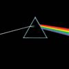 Wea The Dark Side of the Moon [Vinyl LP]