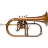 Lechgold FH-60GV Flicorno - in bronzo fosforoso - accordatura: Bb - diametro campana: 152 mm - con custodia leggera - trattato con acido e verniciato trasparente