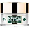 LR WONDER COMPANY Wonder Bee Snail, crema viso alla bava di lumaca e veleno d'ape, rigenerante e tonificante (50ml) - Wonder Company