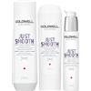 Goldwell Dualsenses Just Smooth Kit