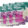 FEI FAN Maschera In Tessuto Viso, Idratante ANTI-AGE, Azione Intensiva 15min, Per Una Pelle Più Rassodata, Con Estratto Di Lavanda, Bakuchiol e BIO Olio Di Oliva 22ml (6 Unità)