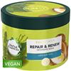Herbal Essences Herbal Bio:Renew Mask 450ml Argan