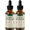 CCDSR Lymphoria Linfodrenaggio gocce 59ml - Linforia Wellness Drops, promuove un drenaggio efficiente del sistema linfatico, miscele di erbe naturali, pulisce il corpo, facile da applicare, vegano e senza