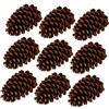 DEARMAMY 9 Pezzi Pigne Naturali Secche Giganti per Decorazioni Natalizie e Fai da Te Pigne Vere per Addobbi Albero Casa Ufficio e Artigianato