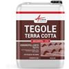 ARCANE INDUSTRIES Idrorepellente per tegole, incolore per tegole in terracotta - ARCAREPEL 219-20 L (fino a 100 m²) - ARCANE INDUSTRIES