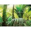 murando PREMIUM Carta da parati Foglie 450x315 cm Fotomurali in TNT Murale alla moda Decorazione da Muro XXL Poster Gigante Design Carta per Pareti Soggiorno Natura verde Foresta b-B-0033-a-a