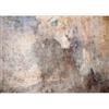 murando Carta da parati Calcestruzzo 500x350 cm Fotomurali in TNT Murale alla moda Decorazione da Muro XXL Poster Gigante Design Carta per Pareti Soggiorno Pietra Astratto beige f-A-10017-a-a