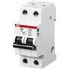 ABB S202 B32 INTERRUTTORE AUTOMATICO 6KA 2P, White