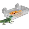 Generic Ciotola per cibo per rettili, anti-fuga, con ventosa per rettili, ciotola trasparente per iguana, camaleonte, lucertola, , gechi