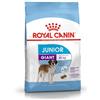 Royal Canin 31 Cibo per cani giganti/junior, 3,5 kg