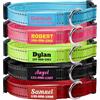 TICBIC Collare Cane Personalizzato,Collare in Nylon Riflettente,Nome e Numero di Telefono Personalizzabili,4 Misure Regolabili,Adatto a Cani di Piccola, Media e Grande Taglia,Collares Personalizzato Cane.