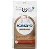 Generico FORZA 10 Cane Gastroenteric Low Fat All Size Pesce | alimento secco dietetico completo per cani adulti di tutte le taglie, per ridurre i disturbi dell'assorbimento intestinale, 1 confezione da 4kg.