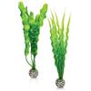 biOrb Easy Plant - Confezione da 2 pezzi Medium by biOrb