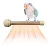 Generico Posatoio Riscaldato Per Uccelli - Termostato Riscaldante Per Pappagalli E Uccelli | Terrario Anti-Scaldo Per Piccoli Animali Da Interno Notturno Da Viaggio Per Canarini Parrocchetti Calopsitte