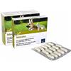 Camon artosalus mangime complementare per cani e gatti. Confezione da 60 compresse