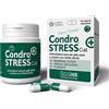 Innovet Condostress Condrostress + Cat 30 Capsule Monodose