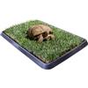 PetZolla Kit S Tartarughe PetZolla 60x40 cm - Terrario Tartarughe terra in Vera Erba Naturale con Vassoio Riutilizzabile - Casetta per tartarughe di terra Naturale - Dura fino a 5 mesi