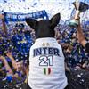 D&Vlab T-Shirt per Cani Celebrativa 21 Vittoria Scudetto Tifosi Nerazzurri Ultras Calcio Sport Beneamata Supporters Campionato 2025/2026 Italiano Disponibile in diverse taglie