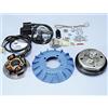 POLINI Pln1710545 - accensione polini idm 171 0545 compatibile con vespa 125 et3