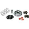 Malossi VARIATORE STANDARD PIAGGIO X9 EVOLUTION 250 2004