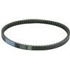 Athena S410000350015 Cinghia di trasmissione