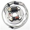 Generico STATORE VOLANO MAGNETE COMPATIBILE CON PIAGGIO APE TM P602 P703 220 602 703 CAR P2 P3