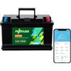 Mjbsan 12V 100Ah Batteria LiFePO4 a ciclo profondo, BMS da 100A, 4000-8000 cicli, potenza max 1280W, perfetto sostituto per batterie al piombo-acido per roulotte, campeggio, sistemi solari domestici