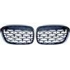 renyinsuo Auto Griglie Anteriori E Griglie Radiatori per BMW X1 F48 F49 2016 2017 2018 2019, Paraurti Anteriore Griglia Parte di Ricambio,Glossy Black