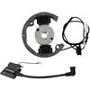 EGRMZ Kit di volano rotore a bobina di accensione kit di volano Magneto Adatto KTM50 50 SX 50cc Motore compatibile con modelli di avventura SR JR JR SX50 Pro Senior Junior