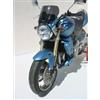 Ermax CUPOLINO ALTO CB 600 HORNET 2003/2006 E11 ERMAX FUME