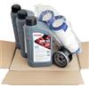 Generico KIT Tagliando Specifico per FIAT 500 e 500C (312) 1.0 Mild Hybrid 51KW 70HP (ROW)