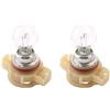 OISE ART STORE Trade Shop - Lampadina Posizione Auto Psx24w 12v 24w Luce Alogena Lampada Segnalazione L-p141