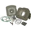 Unbekannt Kit cilindro - MS319879 - Malossi Sport 70 ccm per Honda X8R 50 S/X SZX50 AF49