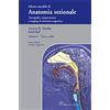 CIC Edizioni Internazionali ANATOMIA SEZIONALE VOLUME I: TESTA E COLLO