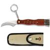 Martinez Albainox AB Albainox 10577 - Coltello a funghi mini 6 cm per caccia, pesca, campeggio, outdoor, sopravvivenza e bushcraft + portabottiglie in regalo
