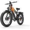 LANKELEISI Bicicletta elettrica MG800Max con doppio motore da 250 W e pneumatici larghi da 26 pollici, adatta a tutti i terreni(grigio)
