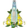 GALVANINA - 12 x GASSOSA in vetro 335 ml | Bibita BIOLOGICA prodotta in Italia