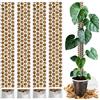 PlantScraper Tutore in Muschio XL per Monstera 4 Pezzi 63 x 9,5 cm - Supporto Estensibile e Set Accessori - Pali per Piante con Velcro e Substrato Speciale di Muschio - Ottimizzato per Aroidi