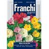 Franchi Sementi Semi Bella di Notte Multicolor Fiori Franchi Sementi 5g