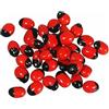 Generic 50 Grammi - Fagiolo Jequirity - Rosario Pea - Granchi Eye Seeds