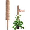 Generic Bastone di muschio al cocco - di supporto per piante, di cocco espandibile | Strumento per piante in griglia, supporto duraturo e crescita per Monstera, Pothos e Filode