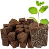 UALXPAO Coltivare spugne 50 Pz Coltivare Spugne Spine di Avviamento Idroponico Semi Giardinaggio Incisione Inclinata Semina e Taglio del Blocco Substrato