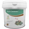 Bioges Nutri Cactacee 2,5 kg concime per Piante grasse