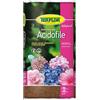 Terflor Terriccio Substrato Coltivazione Piante Acidofile 20 Lt Torba Azalea Rododendro Erica