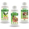 Fitokem Olio di Neem Biologico 1lt + Sapone Molle di potassio 1lt + Rame Protezione 1lt N+S+RPZ1