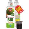 Antika Officina Botanika Concime CYCAS ad elevata efficenza per piante di Cycas con alghe brune, flacone da 1 kg