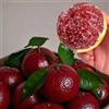 Generic semi di d'appartamento di arance, resistenti di agrumi fresca all'aperto 200pcs
