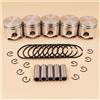 DORFEY Kit di 5 fasce elastiche for spinotti da 35 mm, adatte for decespugliatori S-t-i-H-L FS120 FS120R FS300 BT121 FS 120 300, pezzi di ricambio.