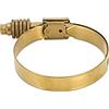 Mishimoto MMCLAMP-CTWG-117GD MMCLAMP-CTWG-117GD - Morsetto a vite senza fine a tensione costante, 95 mm - 117 mm, oro